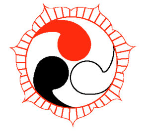 IOKAI SHIATSU