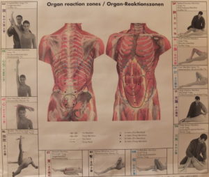 zones-de-diagnostic-iokai